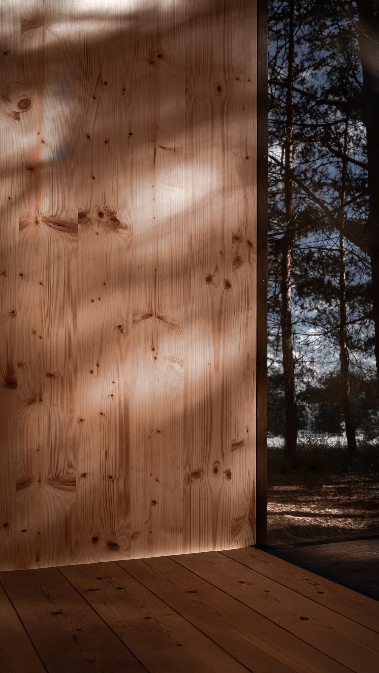 Interior with a visible CLT wall and a forest behind the glazing.