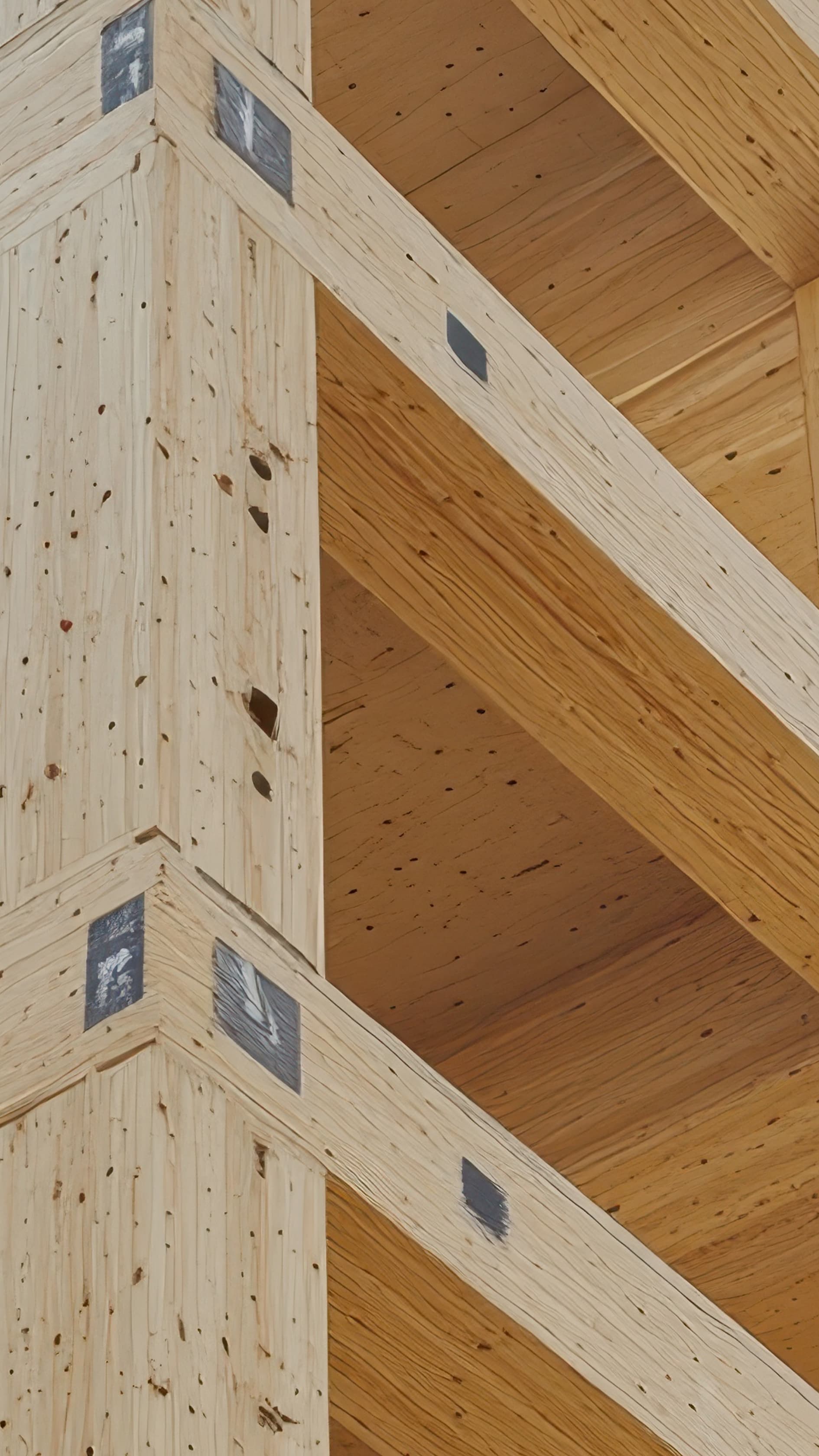 A modern housing estate of wooden houses