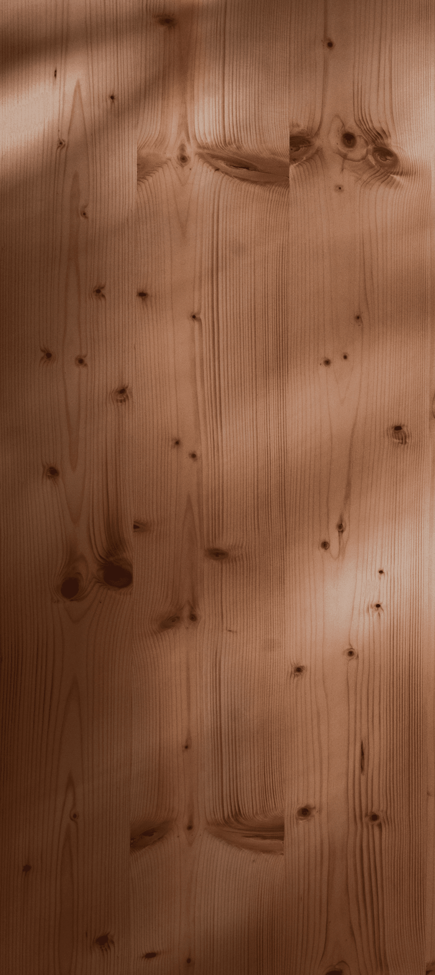 Close-up of a precisely prepared CLT panel.
