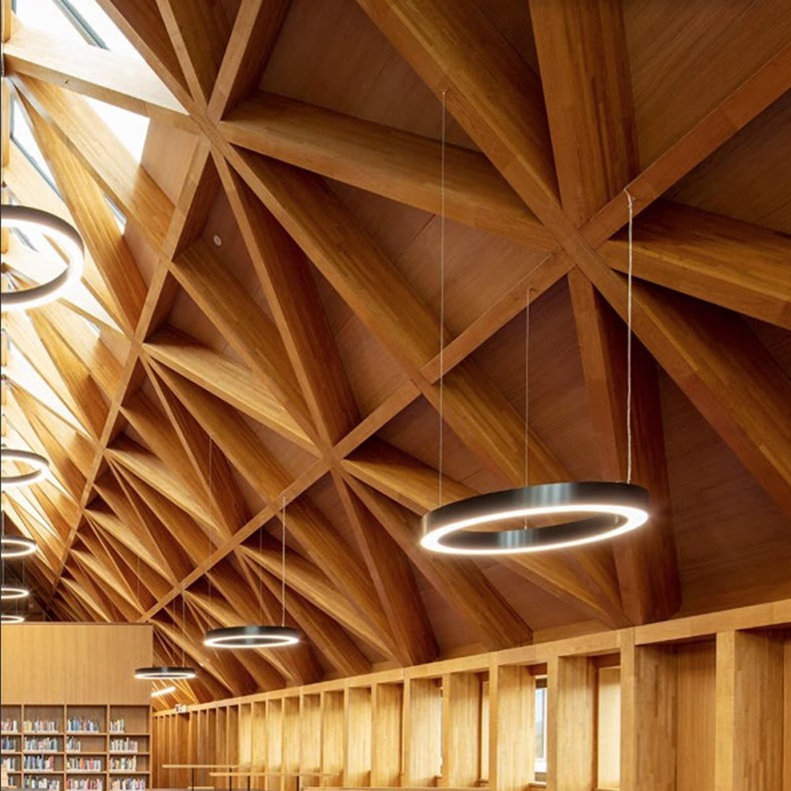 Panel Roofs